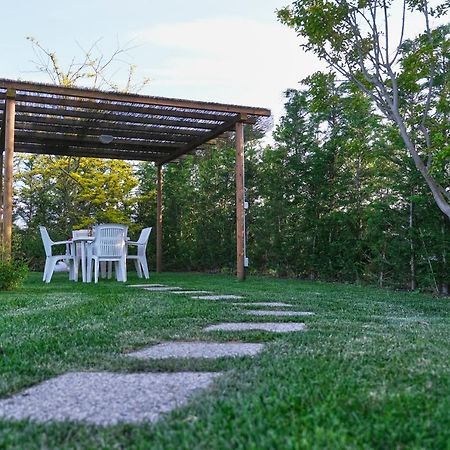 Agriturismo Da Rosy Codevigo Εξωτερικό φωτογραφία